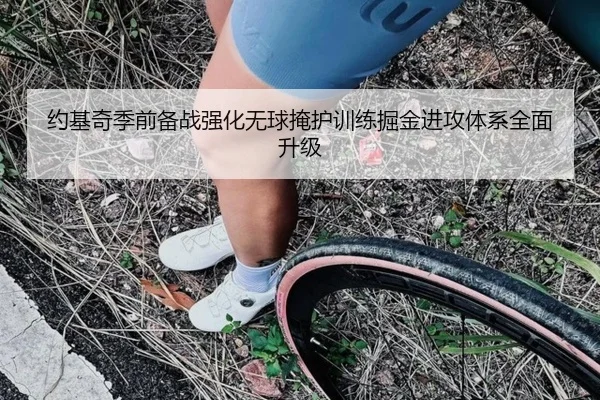 约基奇季前备战强化无球掩护训练掘金进攻体系全面升级